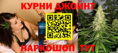 сатива Кандалакша
