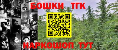 сатива Кандалакша