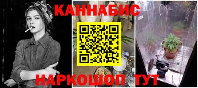 сатива Кандалакша