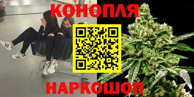 сатива Кандалакша